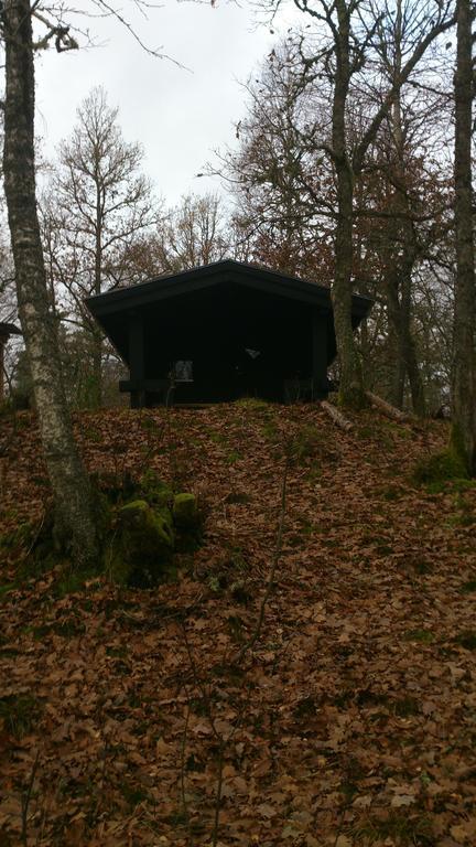 Loft Alaryd Landsteder